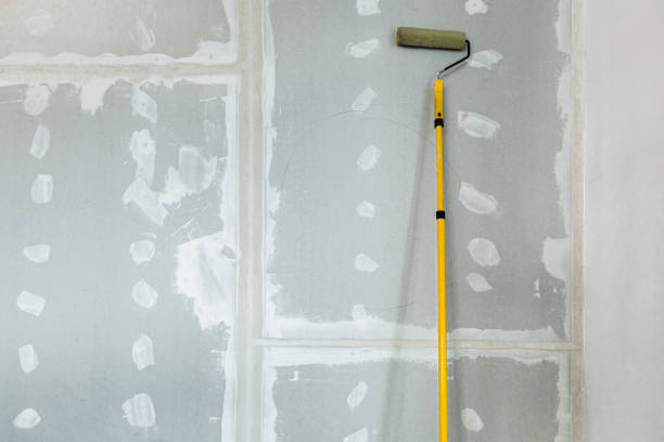 Trusted Flanders, NY Mold Removal Experts