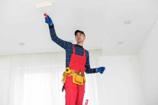 Best Mold Documentation for Insurance Claims  in Flanders, NY
